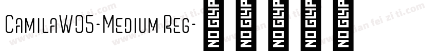 CamilaW05-Medium Reg字体转换